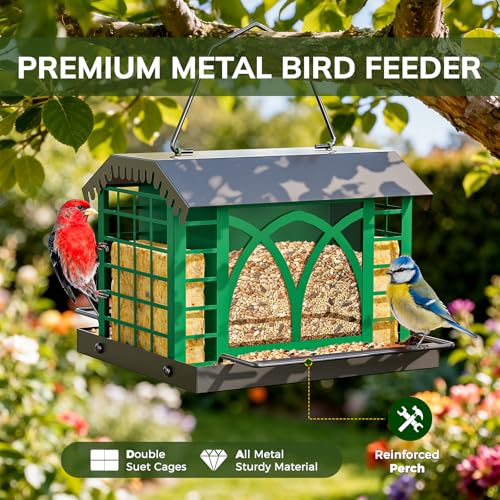 Bird Feeders for Outdoors Hanging, Metal Bird Feeder with Double Suet Cage Weatherproof Metal Roof, 3.5Lbs Large Capacity Great for Attracting Finch Cardinal Chickadee Wild Birds, Branch Green