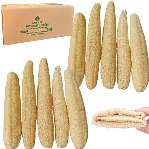 Image of 10 Pcs (7 – 10 Inches) Natural Loofah Sponge | Organic Loofah | Shower Loofah Exfoliating Body Scrubber | Bath for Loofah for Men and Women | (10 - Pack)