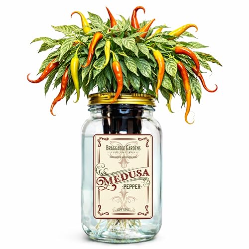 Braggable Gardens Medusa Pepper Indoor Garden Kit – Mason Jar Hydroponic...