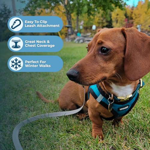 Image of Voyager Step-in Plush Dog Harness - Soft Plush, Step in Vest Harness and Reflective Dog 5 ft Leash Combo with Neoprene Handle for Small and Medium Dogs by Best Pet Supplies -Set (Turquoise Plush), XS