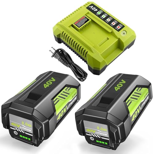 Image of 2Pack Upgraded to 8000mAh Replacement for Ryobi 40V Battery and Charger OP401 Combo, Compatible with Ryobi 40Volt Battery Lithium ion OP40261 OP40404 OP4050A OP40602 OP4075A Cordless Tools