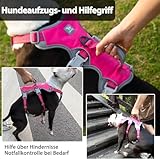Hunde Sicherheitsgeschirr, Hundegeschirr kleine hunde, Reflektierendes Geschirr mit Gepolstertem Griff, Wasserdicht, Verstellbare Weste für Kleine Hunde Zum Gassi Gehen, Trainieren (Rosenrot,S)