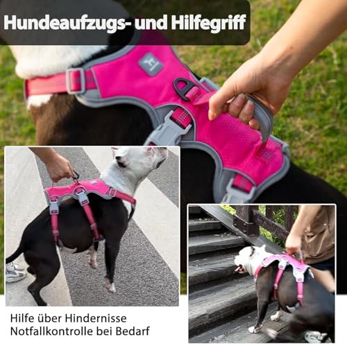 Hunde Sicherheitsgeschirr, Hundegeschirr kleine hunde, Reflektierendes Geschirr mit Gepolstertem Griff, Wasserdicht, Verstellbare Weste für Kleine Hunde Zum Gassi Gehen, Trainieren (Rosenrot,S)