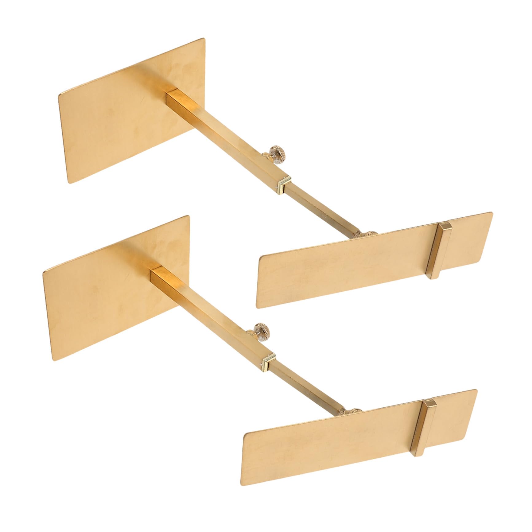 SHINEOFI Espositore per Tacchi Alti in Acciaio Inox Regolabile in Altezza e Angolazione, Supporto in Metallo Compatto per Negozi e Vetrine, Scaffale Porta Scarpe Resistente per