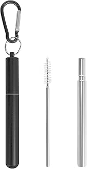 1 Pack Metal Straws for Cruise Ship Essentials, Travel Essentials, Reusable Straws with Aluminum Case, Cleaning Brush, and Keychains（Black）