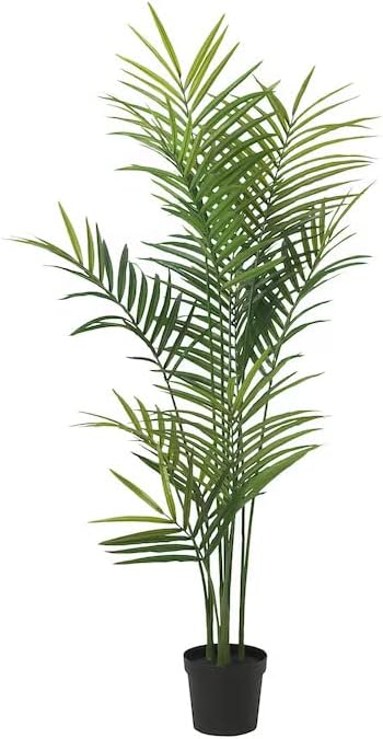 康生年谱-一个共产党人的一生（1898-1975）（增订版） 余汝信 中 一 社会