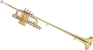 Student Brass Trumpet Students beginner professional B flat extended version trumpet band instrument