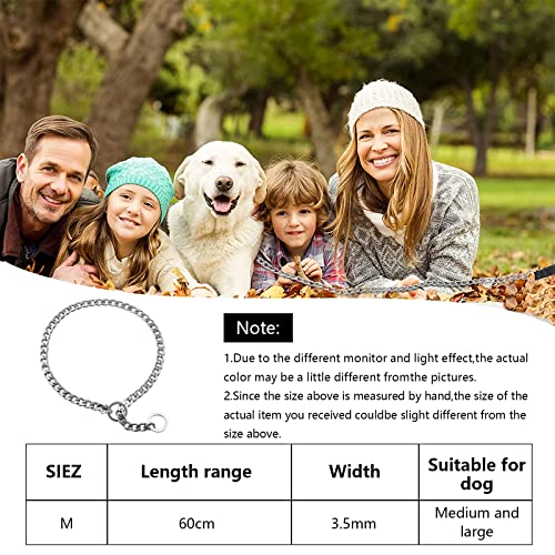 Collar cadena para perros 14 Imagen adicional