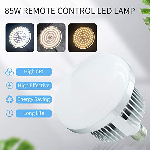 [Upgraded Led Bulb] Mountdog Photography Lighting Kit, 6.6X 10Ft Backdrop Stand System And 900W 6400K Led Bulbs Softbox And Umbrellas Continuous Lighting Kit For Photo Video Shooting #TOP2