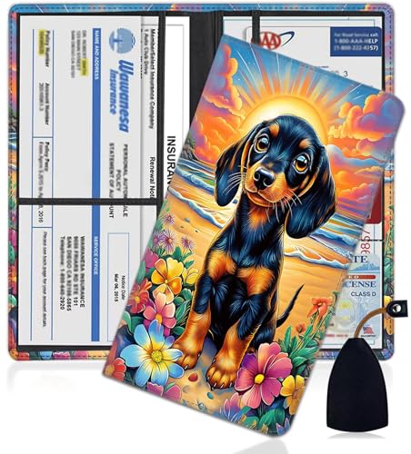 Organizador para Documentos Automotriz miniatura 1