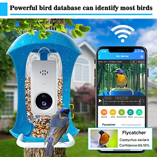Smart Bird Feeder With Camera, Bird Feeder With Ai Recognition,Wild Bird Feeders With 2.4G Wifi Support,The Birdhouse Camera Can Notify You When A Fellow Bird Is Spotted.blue #TOP1