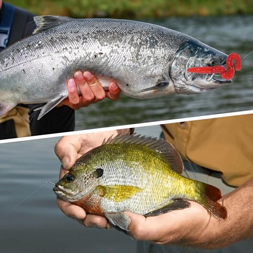 150pcs Aberdeen Fishing Hooks Kit Long Shank Aberdeen Hooks Assorted Small Size Sharpened Live Bait Fishing Hook Set for Saltwater Freshwater Bass Catfish Trout Crappie Panfish - Image 8