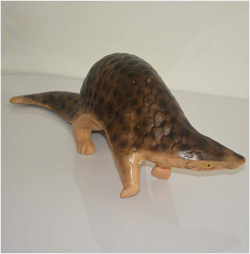 Symulacja Model Łuskowca - Model Anatomiczny Model Łuskowca - Materiał Pcv Model Łuskowca Ozdoby Zwierzęce - Do Nauki W Klasie Badania Sprzęt Laboratoryjny Nauczanie Model Medyczny