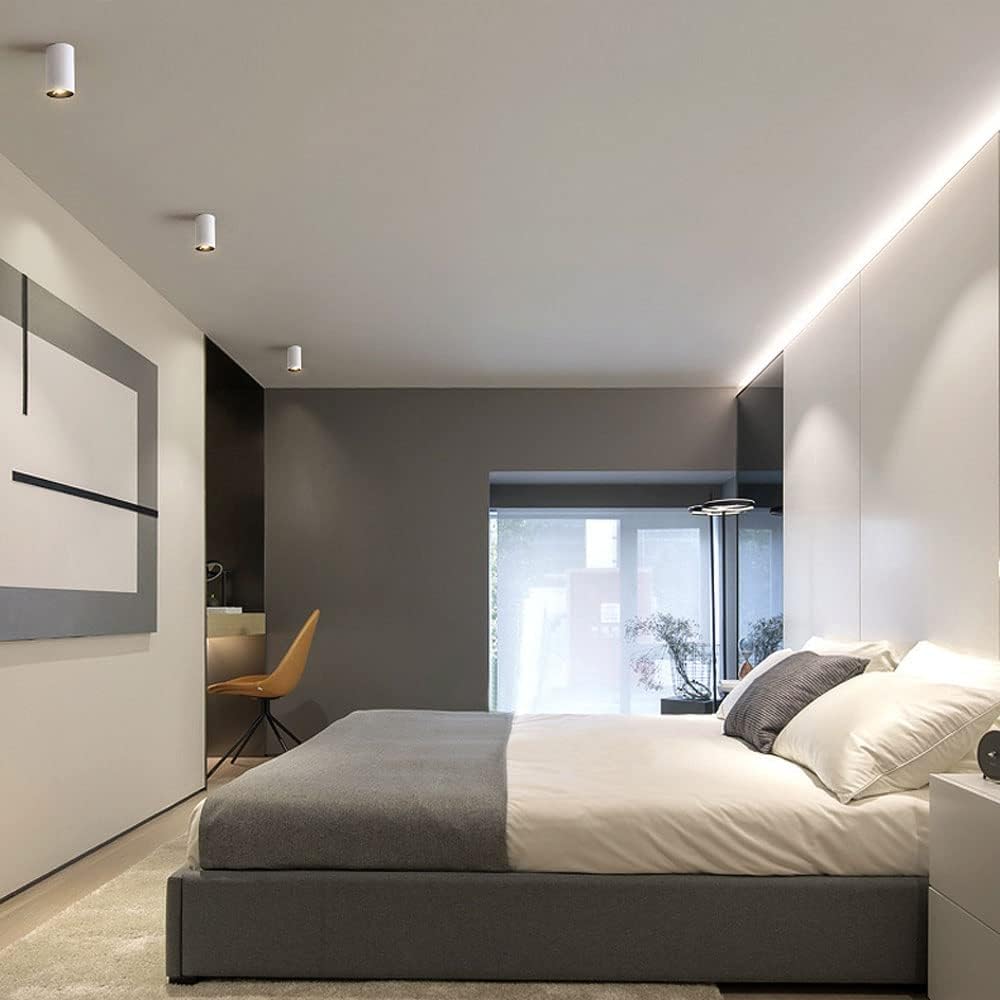 Spotlight,Led Ceiling Spotlight Cylindl Ceiling Lamp, 7W Aluminum Surface Mounted Spot Lighting Fixtures for Hallway Gallery Kitchen Picture Lights Mini Accent Spotlights/White-3000K