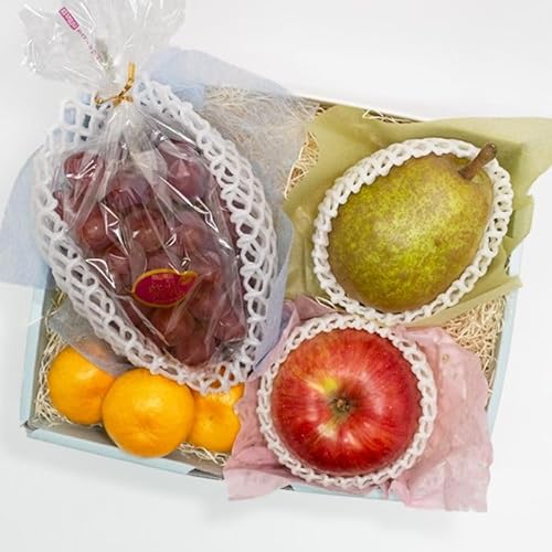 TOBIFRU t[clߍ킹 XyV Ε ~Mtg  ăMtg  c t[c lߍ킹 ʕ t[cMtg yY 蕨 v[g  oY j j oYj   j a @