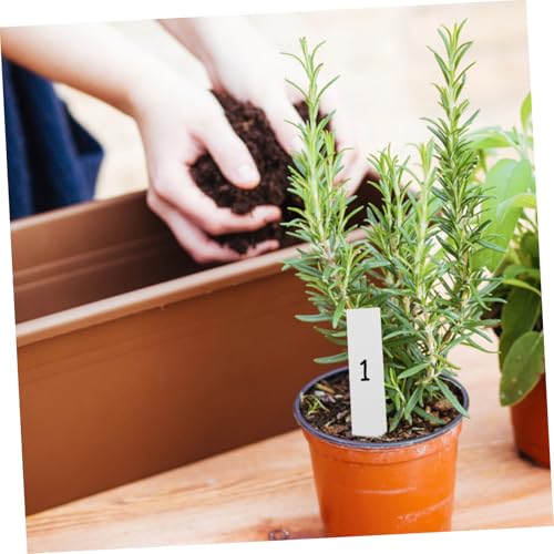 Outanaya Kit de 24 herramientas para plantas suculentas miniatura 2