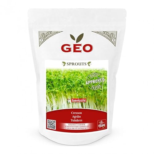 Graines à germer bio de cresson 350g – GEO – Super-aliment riche en vitamines et antioxydants – Germination facile – Origine Italie – Pour germoir ou coupelle