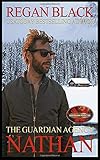 Nathan: Brotherhood Protectors World (The Guardian Agency)