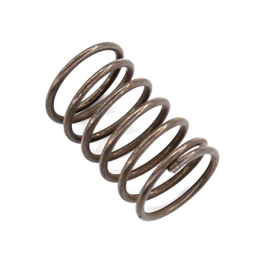Amazon.com: AISEN 2pcs Trimmer Head Springs for Echo SRM-266