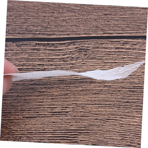 6pcs hojas secas naturales blancas para manualidades miniatura 2