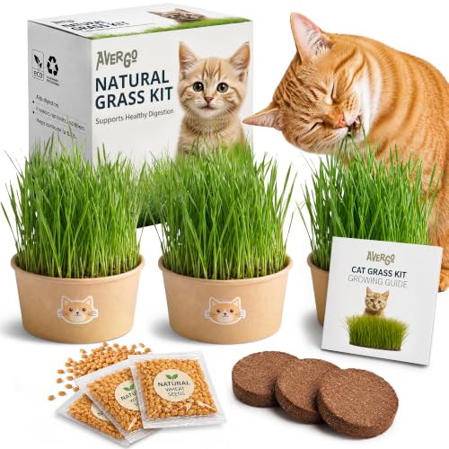 Image of Cat Grass Kit for Indoor Cats - x3 Seed Packets | Cat Grass Seeds with Recyclable Planter & Coconut Coir Expanding Soil Discs - Wheatgrass Grass
