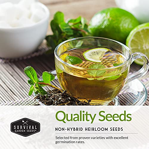 Medicinal Tea Herb Seeds for Planting | 9 Variety Pack of Heirloom, Non-GMO Herbs – Grow Herbal Teas, Natural Remedies – Home Apothecary Garden Kit – Survival Garden Seeds - Image 4