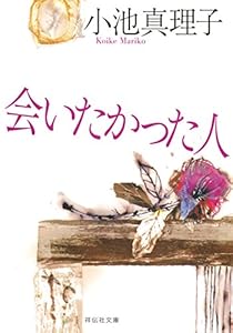 会いたかった人 (祥伝社文庫)