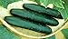 Cucumber Straight Eight Heirloom Great Heirloom Vegetable 150 Seeds