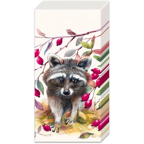 IHR Papiertaschentücher Waschbär 10 Stück 100% recyceltes Papier weich umweltfreundlich Allergiker hautfreundlich Duftfrei Taschentücher Bär Natur