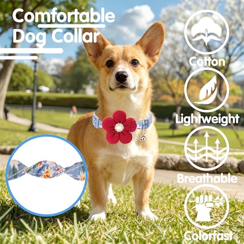 Small Dog Collar with Flower, Cute Dog Collars for Small Dogs with Bell - image 4