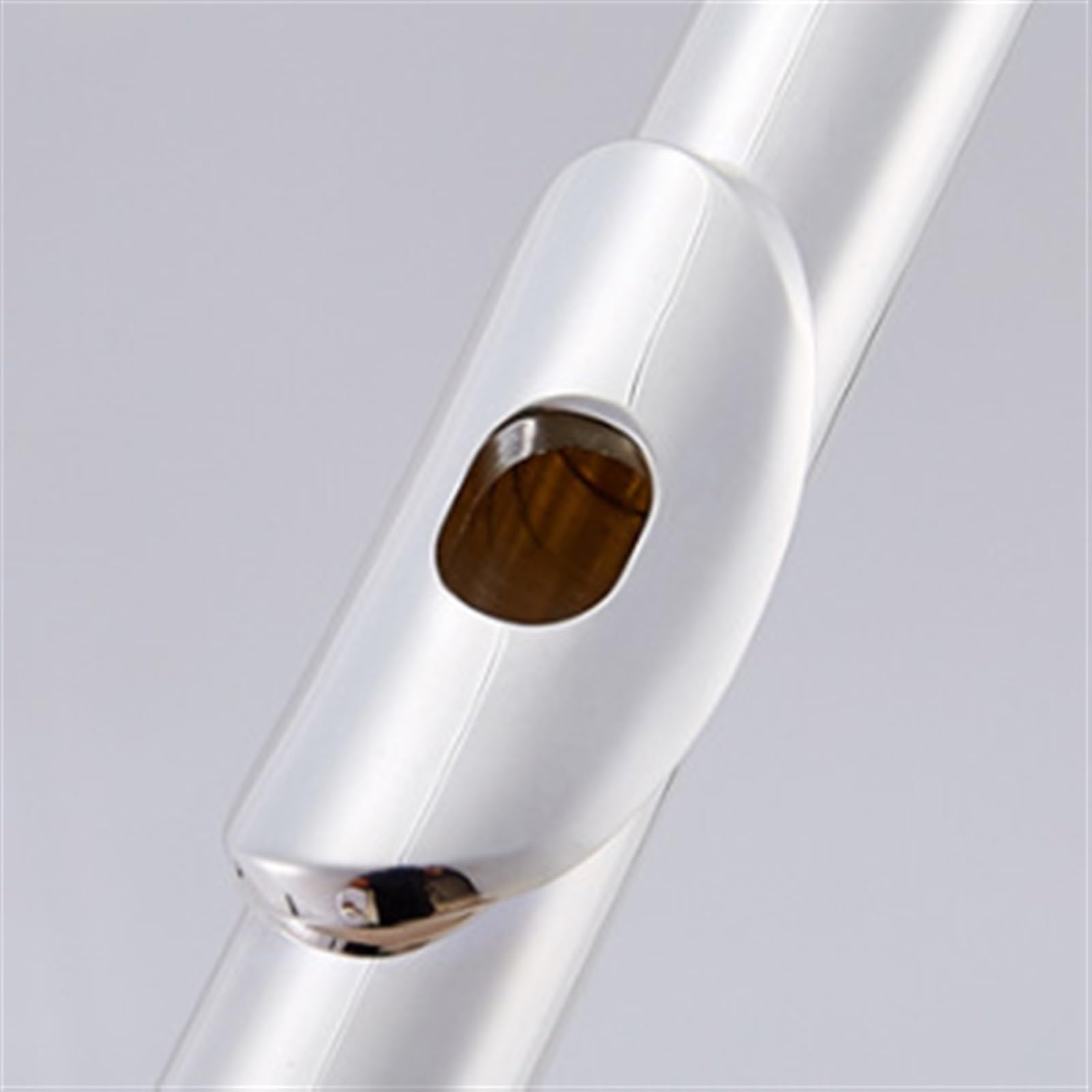 Flûte À Bec Ouvert À 16 Trous En C Corps Argenté Clés Plaquées Or