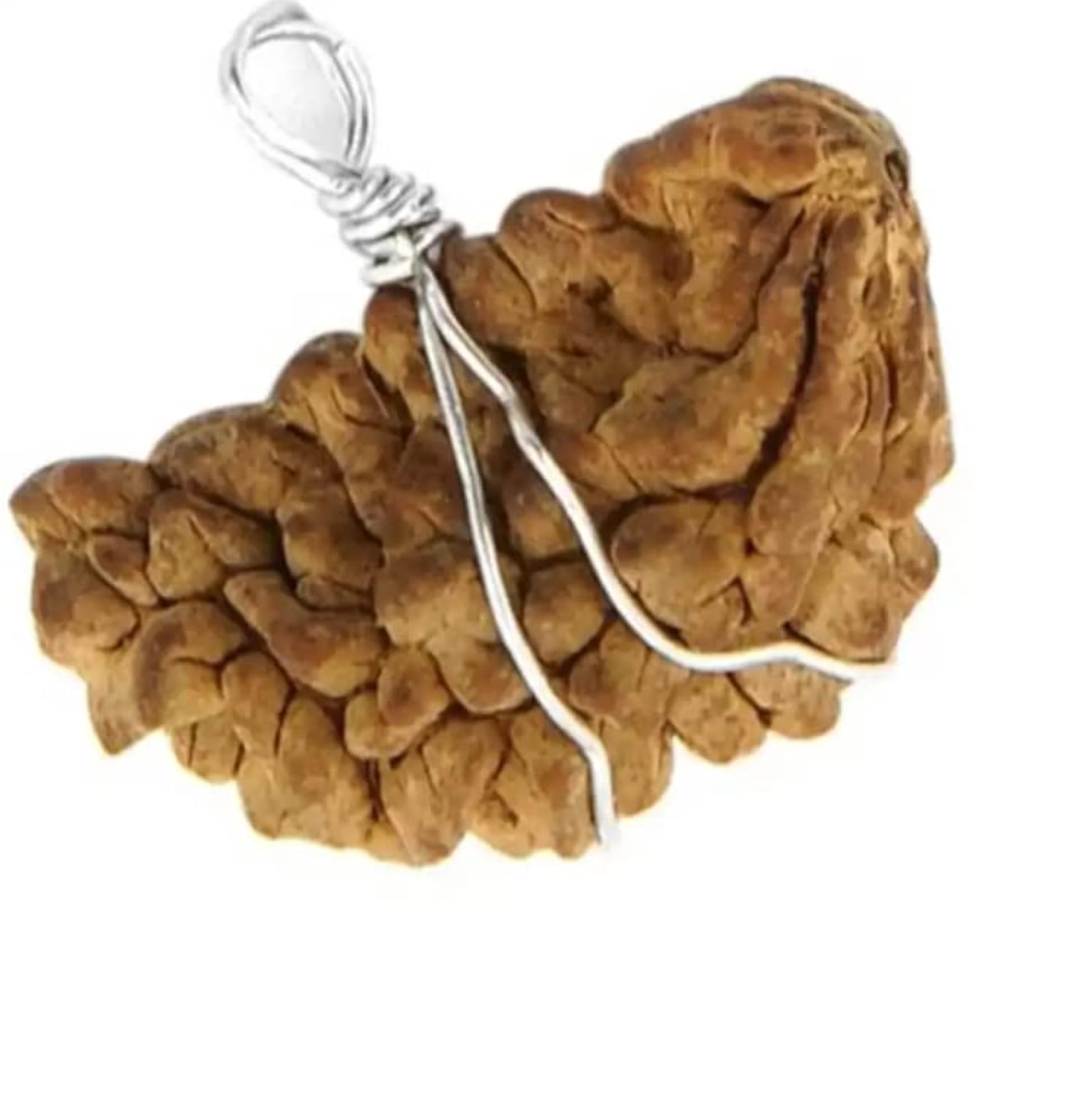 Lab Brown Rudraksha 1 Mukhi Kaju Dana Pendant Necklace