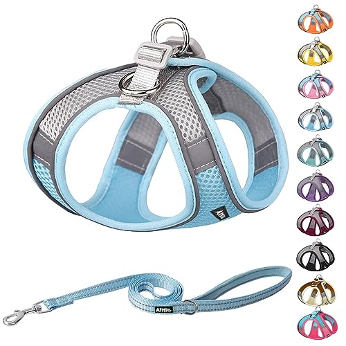 Top 10 Best Easy On Dog Harness : Reviews Buying Guide Katynel