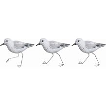 Pelopy 3 Pcs Wood Sandpipers Wall Decor Coastal Wall Decor Sandpiper Coastal Beach Decoration Hanging Driftwood Decoration Sandpiper Sculpture Sea Birds Ocean Vintage Ornaments for Home Bathroom