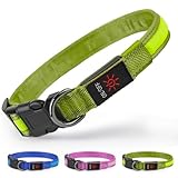 Ezierfy Leuchthalsband Hund - LED Hundehalsband Aufladbar Leuchtendes Hundehalsban Wasserdichtes Einstellbare Hunde Halsband für Kleine Mittlere Große Hunde (Grün, Mittel)
