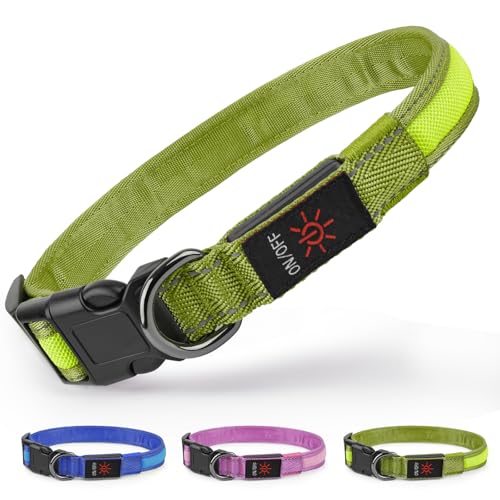 Ezierfy Leuchthalsband Hund - LED Hundehalsband Aufladbar Leuchtendes Hundehalsban Wasserdichtes Einstellbare Hunde Halsband für Kleine Mittlere Große Hunde (Grün, Mittel)