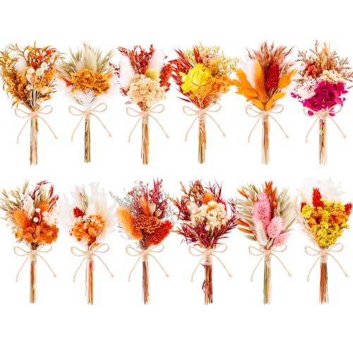 LawnIdyll 12pcs Fall Dried Flowers 6-7' Mini Boho...