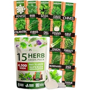 HOME GROWN 15 Herb Seeds for Planting 4,500+ Non-GMO Heirloom Seeds | Extra Large Variety Pack Herb Kit â Indoor Outdoor & Hydroponic | Culinary Seed Set | Grow Your Own Herbs | Gardening Gift