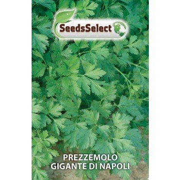 Semi Prezzemolo Gigante D'italia. 2 Buste Linea Maxi, Mondonatura Srl