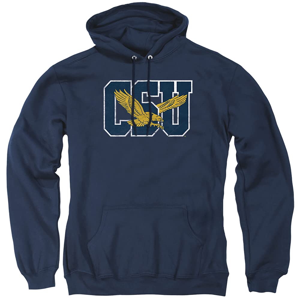 LOGOVISION Official Collegiate Distressed Primary Logo Adult Pullover Hoodie Collection — view 166