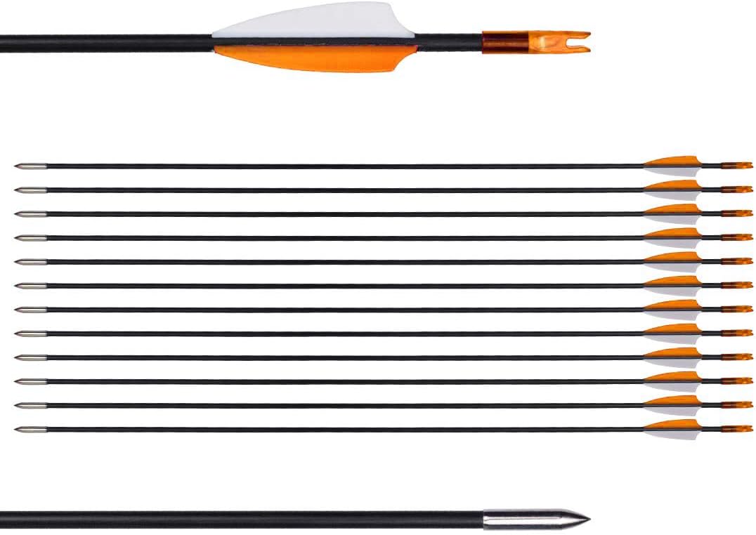 LWANO 31 Inch Fiberglass Training Arrows for Kids Beginners Youth - Safe Practice Arrows for Recurve Compound Longbow 12 Pack