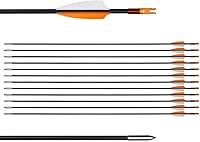 LWANO 31 Inch Fiberglass Training Arrows for Kids Beginners Youth - Safe Practice Arrows for Recurve Compound Longbow 12 Pack