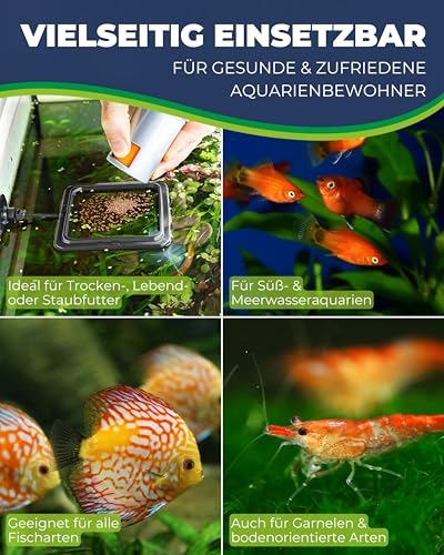 HOBBY Aquaristik Feeding Station 2 I 10 x 10 cm I Futterring für Aquarien I Futterstation für Trocken- und Lebendfutter I für gezielte und saubere Fisch Fütterung I Aquarium Zubehör