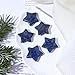 Casaper 1 Inch (30mm) Natural Lapis Lazuli Crsytal Gemstone Carved Mini Star Reiki Healing Worry Energy Pocket Stone Point Stars Pack of 2