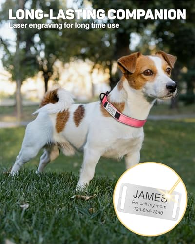 TagME Hundehalsband personalisiert, Reflektierendes gepolstertes Nylon Hundehalsband für kleine Hunde mit Namen und Telefonnummer