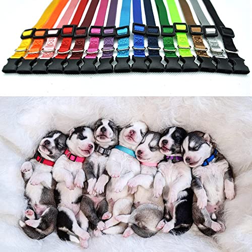 Image of Puppy ID Collars I Identification Soft Nylon I Puppy Collars, Adjustable Breakaway Safety I Whelping Litter Collars for Newborn I Puppies Kitten I Pack of-1 (10MM Plain Collar)