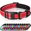 Taglory Reflective Nylon Dog Collar with Safety Buckle, Adjustable Pet Collars with Soft Neoprene Padding for Small Dogs, Red