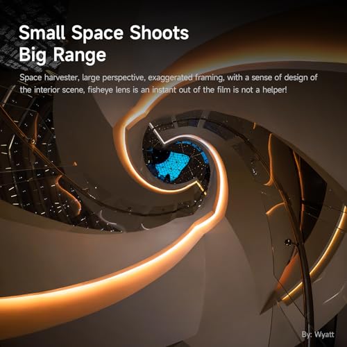 Image of Brightin Star 11mm F2.8 L Mount Fisheye Lens for Leica Panasonic Sigma, Full Frame 180 Ultra Wide Angle Manual Focus Mirrorless Camera Lens for SL SL2 T TL TL2 TL18 CL LUMIX S1 S1R S1H
