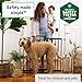 Ingenuity Decorative Panel Tall Baby Gate & Dog Gate, 28
