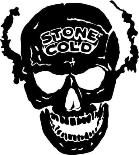 Stone Cold Skull Vinyl Graphic Car Truck Windows Decor Decal Sticker - Die Cut V